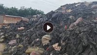 出售pe地膜废料，现货200吨