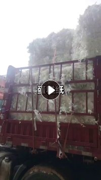 长期出售白色蛋糕纸边角料