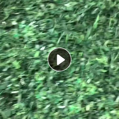 长期出售PET打包带破碎料，过两条水曹清洗线，月供一千吨