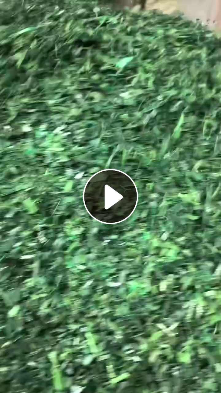 长期出售PET打包带破碎料，过两条水曹清洗线，月供一千吨