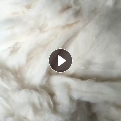 长期出售涤棉，纯棉开松棉，开花棉，大白棉，现货一挂车