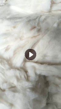 长期出售涤棉，纯棉开松棉，开花棉，大白棉，现货一挂车