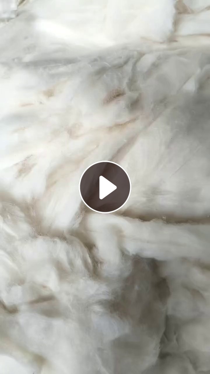 长期出售涤棉，纯棉开松棉，开花棉，大白棉，现货一挂车