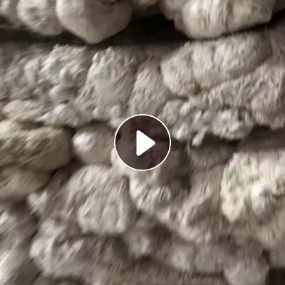 出售EPS冷融块，不是冷压，纯白色干净无杂质