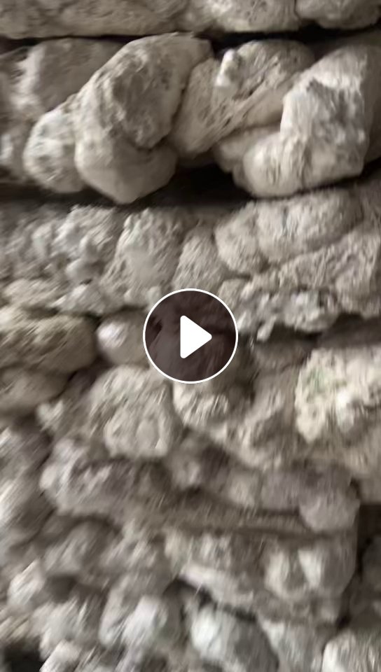 出售EPS冷融块，不是冷压，纯白色干净无杂质