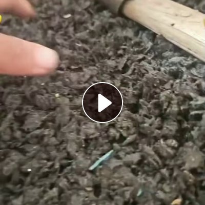 出售高压缆皮破碎料，压塑造粒添加用，现货40吨左右
