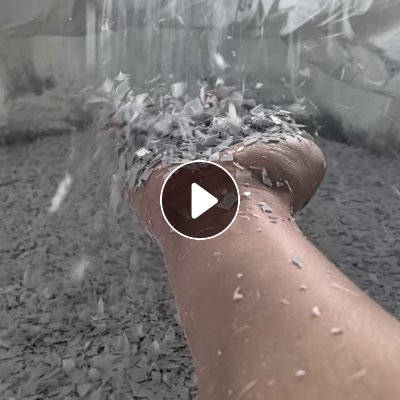 出售PET瓷白吸塑片破碎料，现货有4挂，