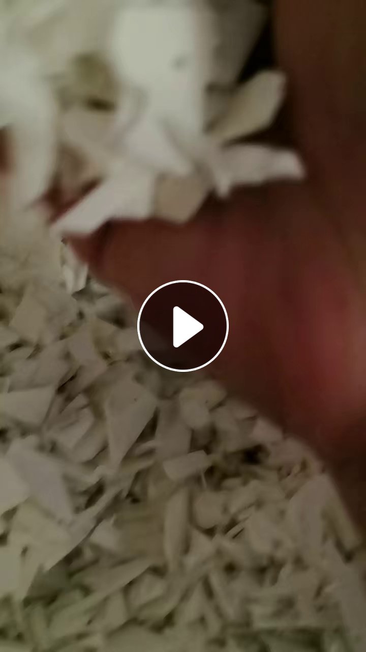 长期出售白色pp涂料桶破碎料
