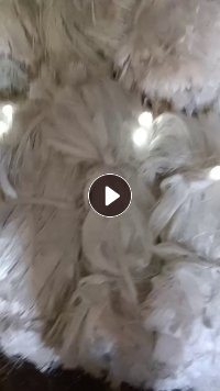长期出售低蜡硅烷型的中碱玻璃纤维开刀丝，玻纤废丝，玻璃纤维细纱，9微米的，现货十多吨