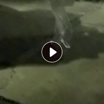 长期出售opp卷筒膜，长期出售