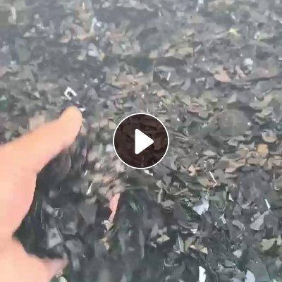 出售黑色PC阻燃破碎料，环保PC片材破碎料，现货够车