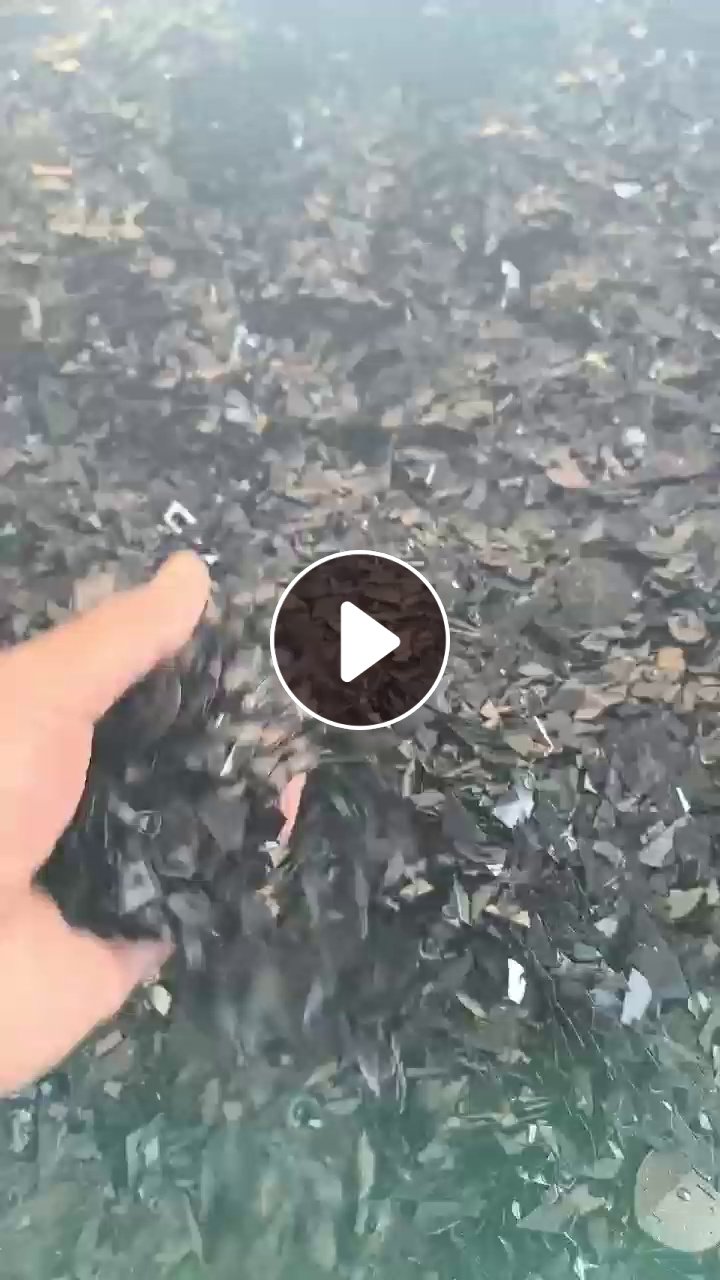 出售黑色PC阻燃破碎料，环保PC片材破碎料，现货够车