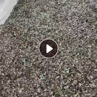 出售中性PVC墙纸破碎料，现货10吨左右，