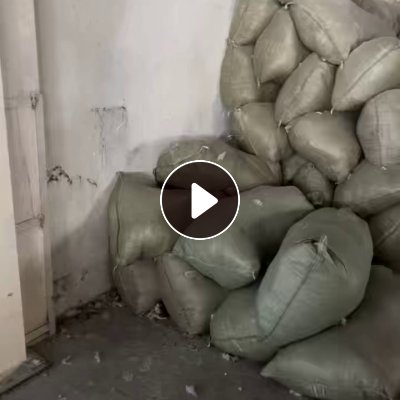 长期出售涤黏布边纱，涤纶85黏胶15的，现货七八吨