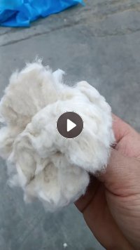 长期出售环锭纺下来的纯棉粉尘，棉短绒，货在山东菏泽