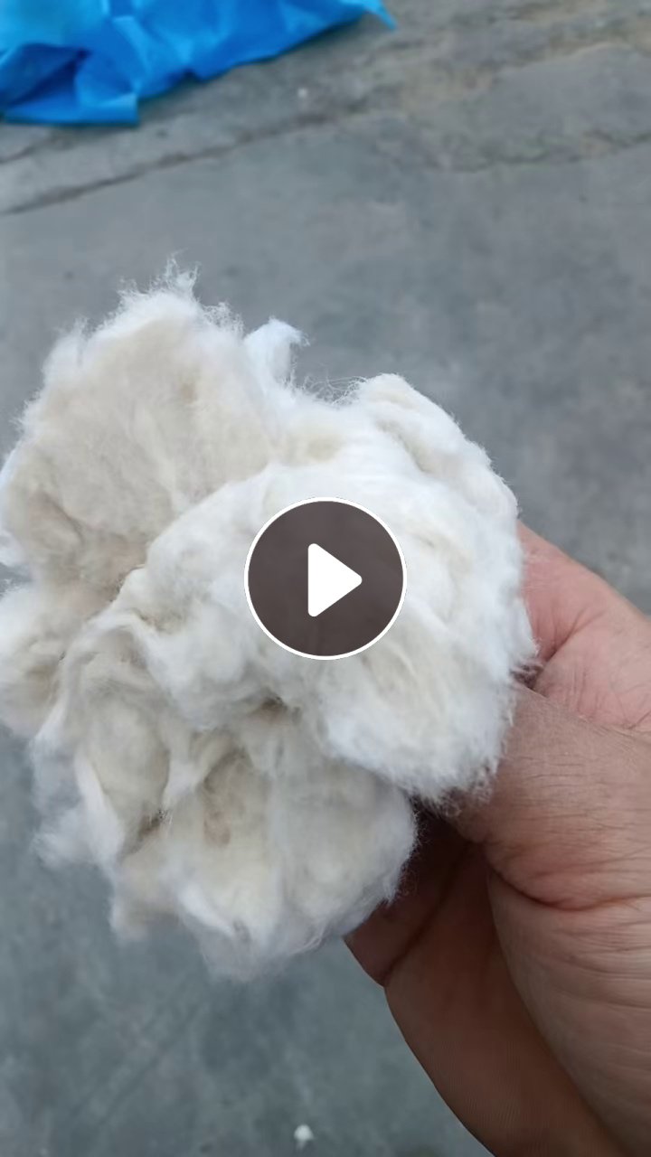 长期出售环锭纺下来的纯棉粉尘，棉短绒，货在山东菏泽