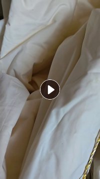 出售涤纶坯布，白坯布，涤纶库存布，处理布，24支，打好包的是有8000米，货在河北石家庄