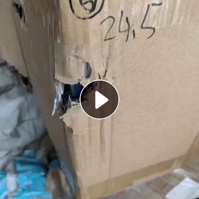长期出售透明pet吸塑盒毛料，干净无标签