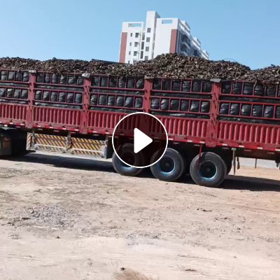 长期出售炼油料