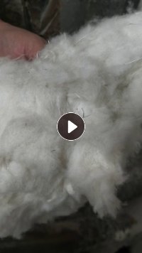 长期出售印染厂下来的纯棉粉尘，短绒棉，厂在湖北荆州