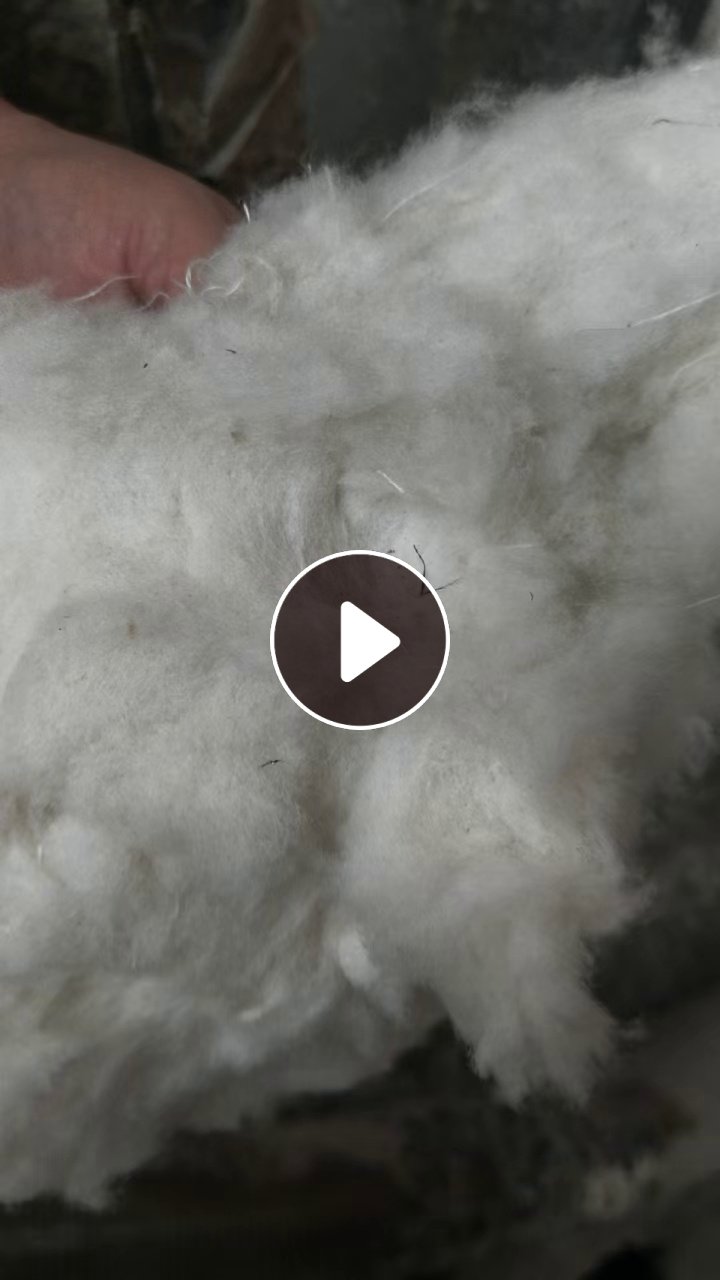 长期出售印染厂下来的纯棉粉尘，短绒棉，厂在湖北荆州