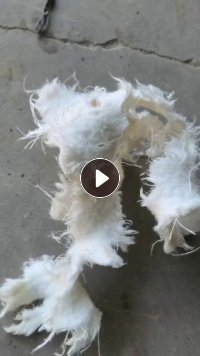 长期出售涤纶除尘布料，漂白过的，纯涤纶，可以开花造粒，现货9米6一车