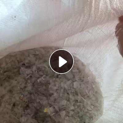 长期出售餐盒破碎料