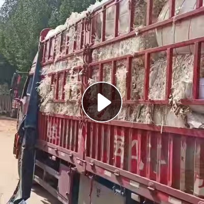 长期出售纯白口杯纸，小花口杯纸