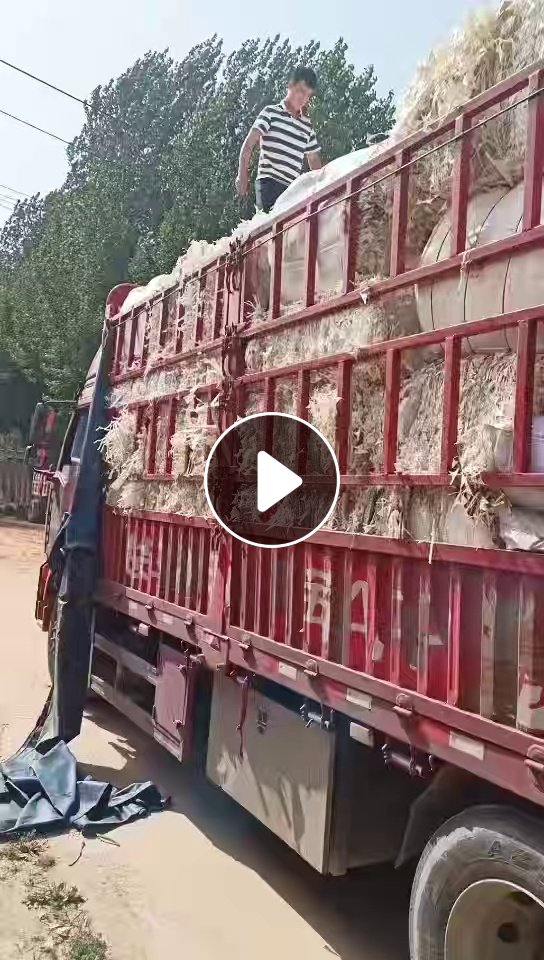 长期出售纯白口杯纸，小花口杯纸