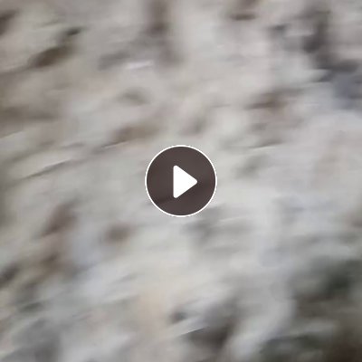 出售做雪地靴下来的羊毛下脚料，带皮，羊毛料，货在江苏镇江