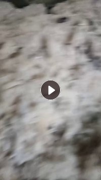 出售做雪地靴下来的羊毛下脚料，带皮，羊毛料，货在江苏镇江