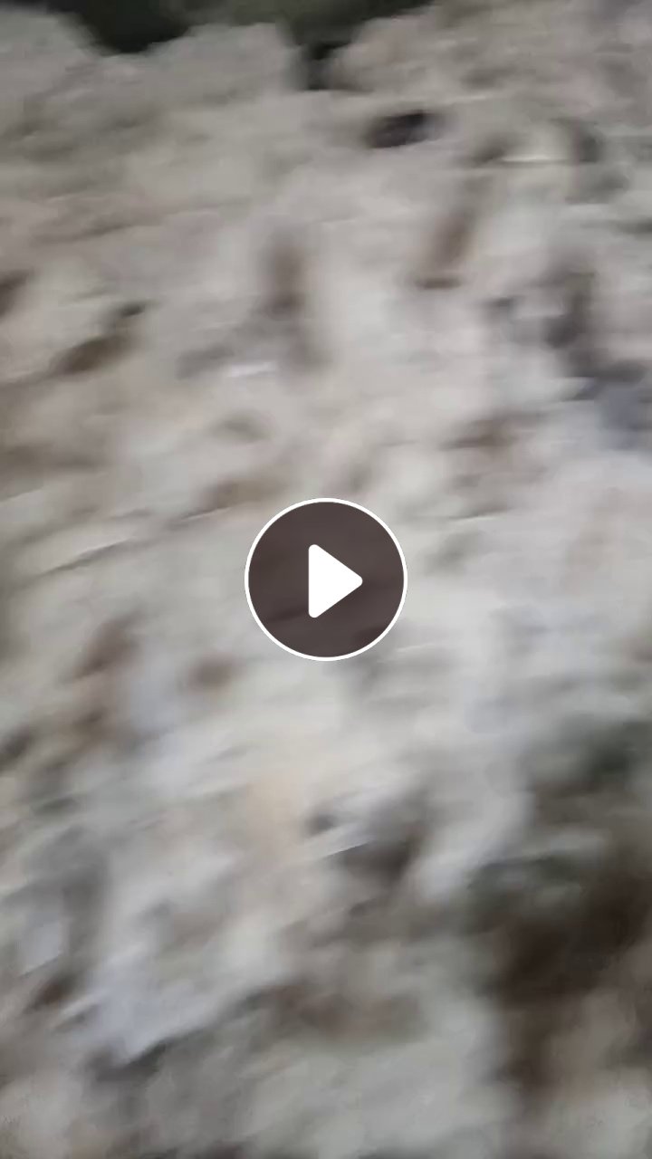 出售做雪地靴下来的羊毛下脚料，带皮，羊毛料，货在江苏镇江