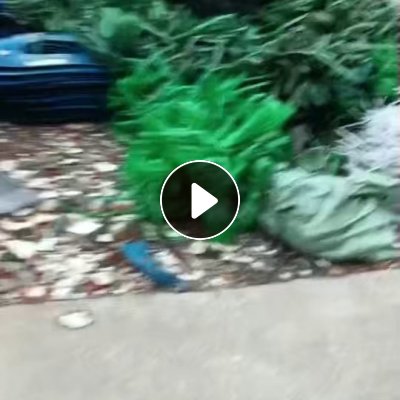 出售PET打包带废料