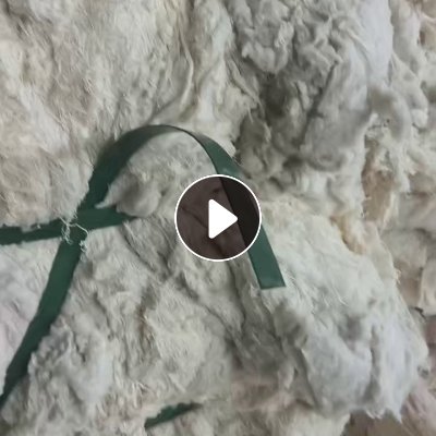长期出售环锭纺下来的纯棉回丝，货在新疆喀什