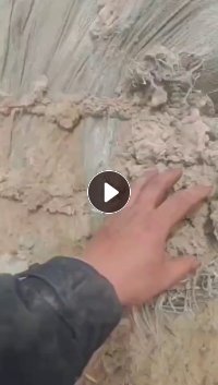 长期出售纯棉粉尘，棉短绒，现货有3000吨左右，货在新疆库尔勒