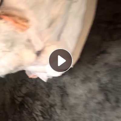 长期出售ES丝开出来的开花棉，每个月大几十吨