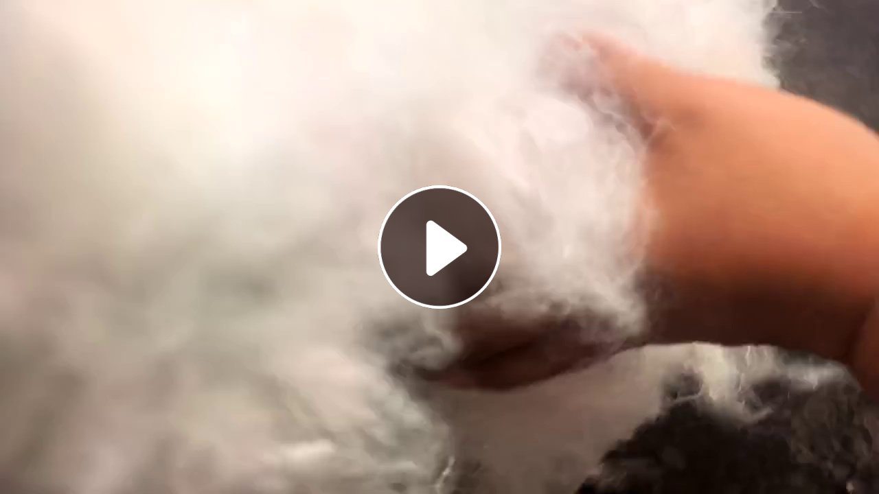 长期出售4080丝开出来的开花棉，有白色和黑色的，每个月大几十吨