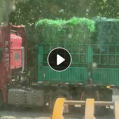 长期出售PET打包带毛料