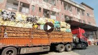 长期出售多彩纯肉海绵料，海绵边角料，废海绵，月供1000吨