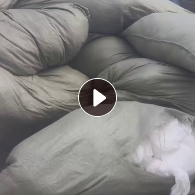 出售纯棉纱布，纯棉大块布，宽度80-120都有，可以加工洗手巾用，现货有9.6米一车，货在河南新乡