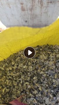 出售PVC封边条破碎料，现货50吨