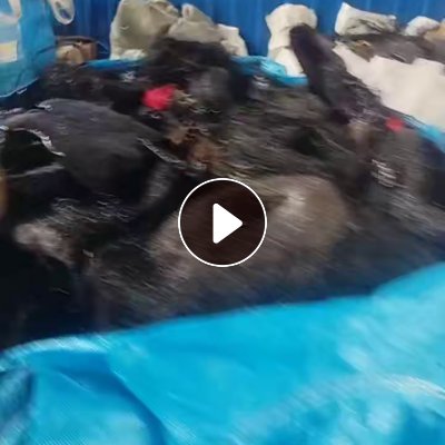 长期出售做假发下来的pbt复合pet涤纶废丝，杂色现货10吨左右，白色20多吨，货在河南周口