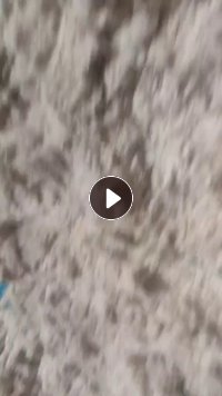 长期出售气流纺下来的全棉车肚，纯棉车肚，现货14吨多，货在江苏徐州
