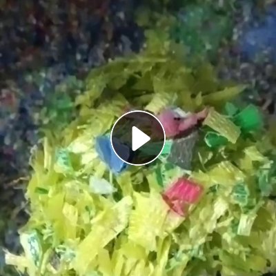 出售PP花漂打包带破碎料，现货一两百吨