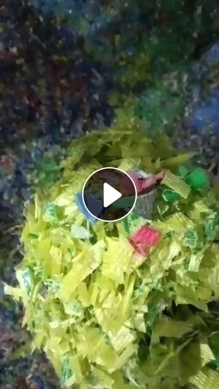 出售PP花漂打包带破碎料，现货一两百吨