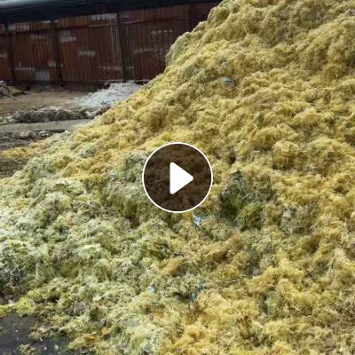 长期出售口杯水洗膜，散装未打包
