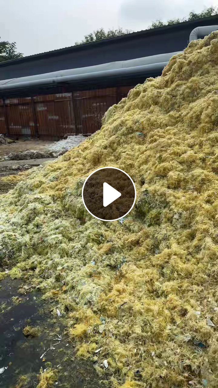 长期出售口杯水洗膜，散装未打包