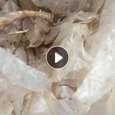 求购pp磨菇丙膜