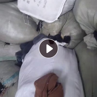 长期出售黑色涤纶废布，涤纶边角料，现货十几吨，在山东青岛