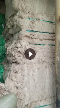 长期出售气流纺下来的纯棉鱼籽棉，鱼籽棉下脚料，纺21支下来的，货在山东德州